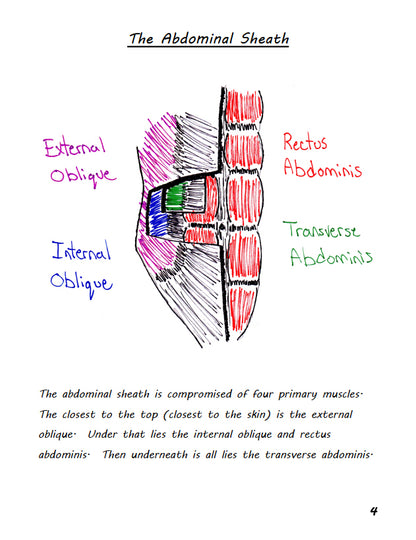 abdominal handbook example